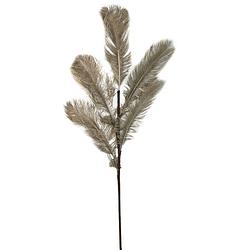 Foto van Light&living ornament 5 veren 55x125 cm feather licht goud