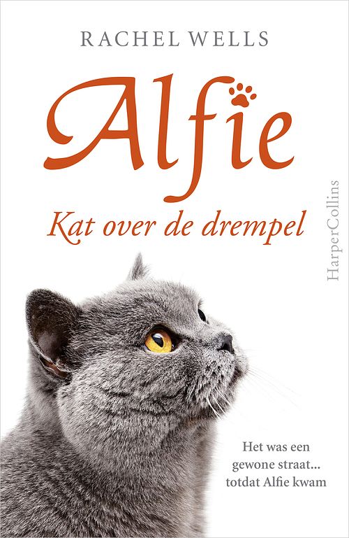 Foto van Kat over de drempel - rachel wells - ebook