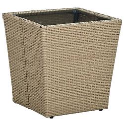 Foto van Vidaxl theetafel 41,5x41,5x44 cm poly rattan en gehard glas beige