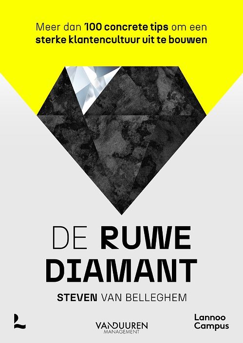 Foto van De ruwe diamant - steven van belleghem - ebook