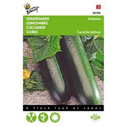 Foto van 2 stuks komkommers giganta