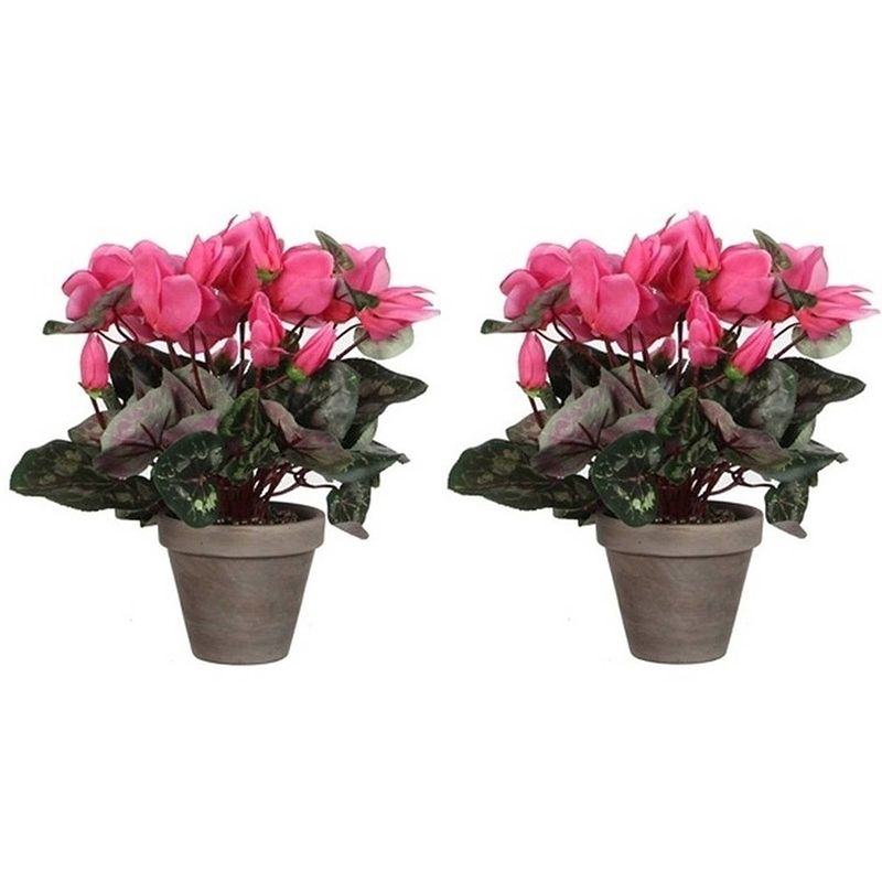 Foto van 2x roze cyclaam kunstplanten 30 cm in grijze pot - kunstplanten/nepplanten