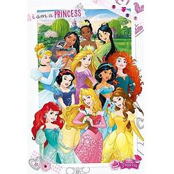 Foto van Poster disney prinsessen 61 x 91,5 cm