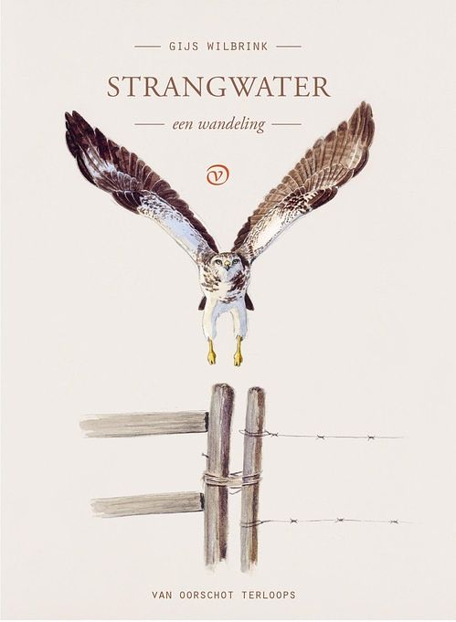 Foto van Strangwater - gijs wilbrink - ebook