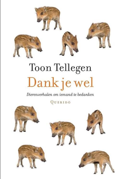 Foto van Dank je wel - toon tellegen - ebook (9789021446066)