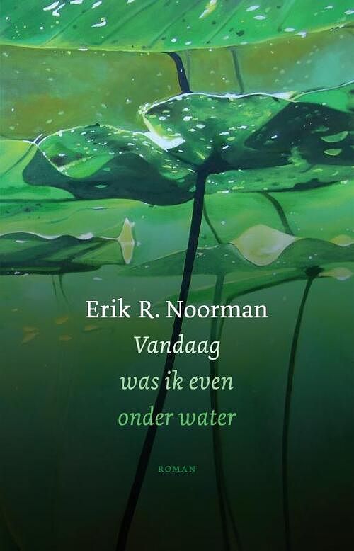 Foto van Vandaag was ik even onder water - erik noorman - hardcover (9789492241535)