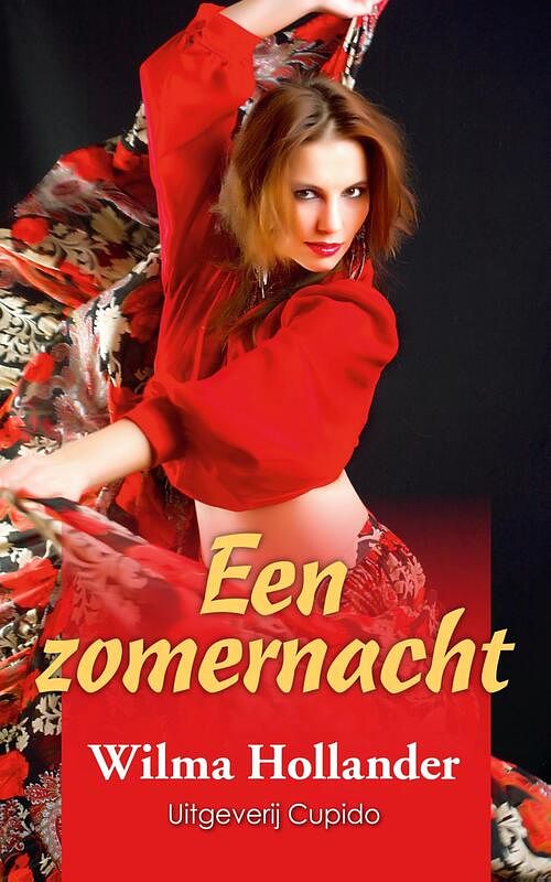 Foto van Een zomernacht - wilma hollander - ebook (9789462042551)