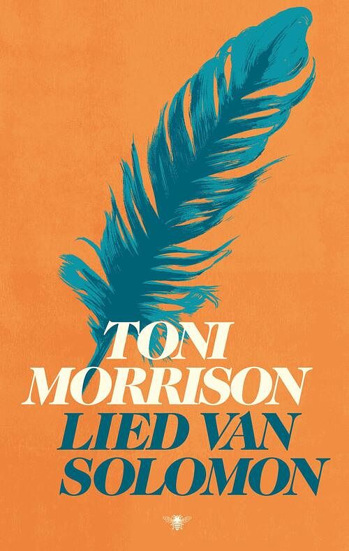 Foto van Lied van solomon - toni morrison - ebook (9789403195209)