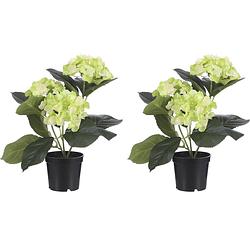 Foto van 2x stuks creme groene hydrangea/hortensia kunstplant 32 cm in pot - kunstplanten