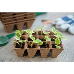 Foto van 2 stuks turfpottrays h5x4x4cm set a 6 trays van 12 stuks nature