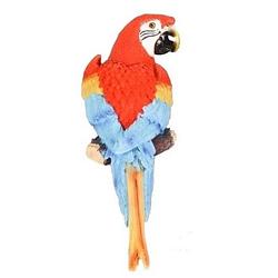 Foto van Dierenbeelden ara papegaai rode vogel - decoratie beeldje vogel rood 30 cm
