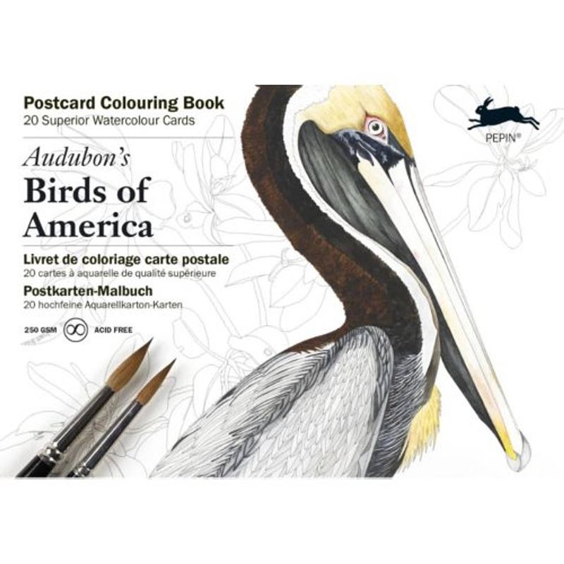 Foto van Audubon's birds of america - postcard coloring