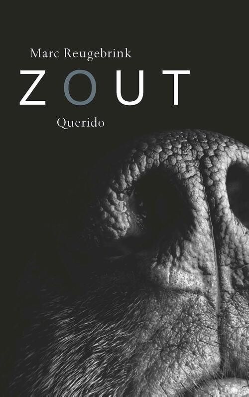 Foto van Zout - marc reugebrink - ebook (9789021415352)