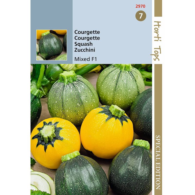 Foto van Hortitops - 3 stuks hts courgette ronde f1 soorten, gemengde kleuren