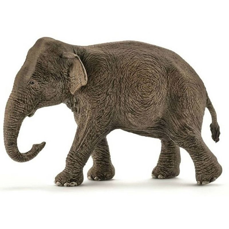 Foto van Schleich aziatische olifant vrouwtje 14753