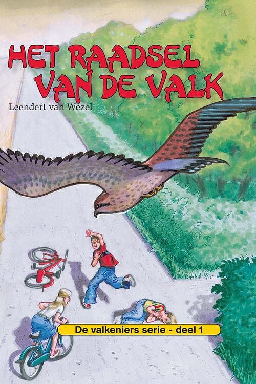 Foto van Het raadsel van de valk - leendert van wezel - ebook (9789462785052)