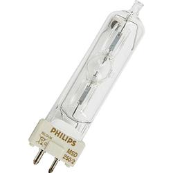 Foto van Philips gy9.5 msd-250/2 gasontladingslamp enkelzijdige lampvoet