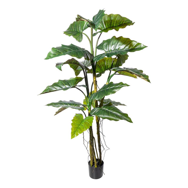 Foto van Kopu® kunstplant colocasia 180 cm - 19 bladeren - in zwarte pot