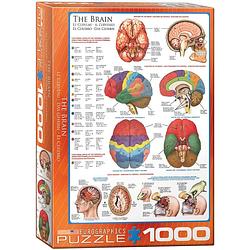 Foto van Eurographics puzzel the brain - 1000 stukjes