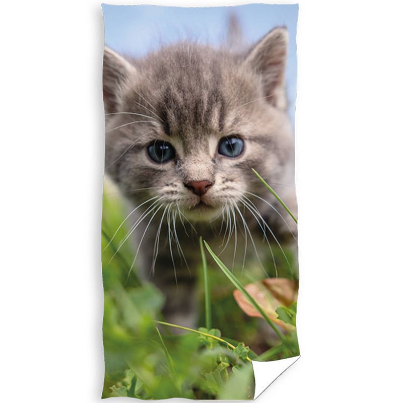 Foto van Animal pictures strandlaken kitten - 70 x 140 cm - katoen