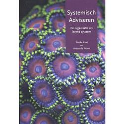 Foto van Systemisch adviseren