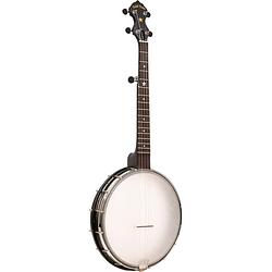 Foto van Gold tone ac-12a 5-snarige open back banjo met gigbag