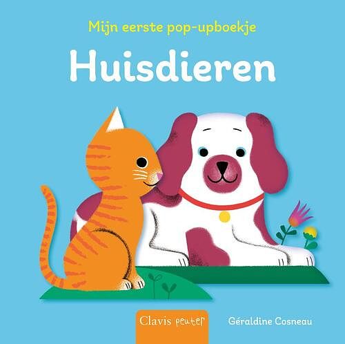 Foto van Huisdieren - géraldine cosneau - kartonboekje;kartonboekje (9789044848038)