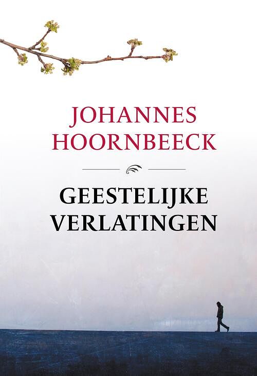 Foto van Geestelijke verlatingen - johannes hoornbeeck - ebook (9789402909180)