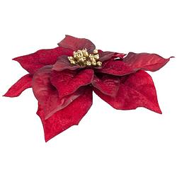 Foto van 6x stuks decoratie bloemen kerstster donkerrood op clip 18 cm - kersthangers