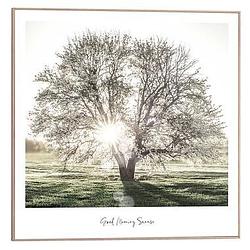 Foto van Poster tree - 50x50 cm - leen bakker