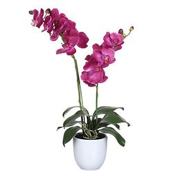Foto van Mica decorations orchidee bloem kunstplant - roze - h66 x b38 cm - kunstplanten