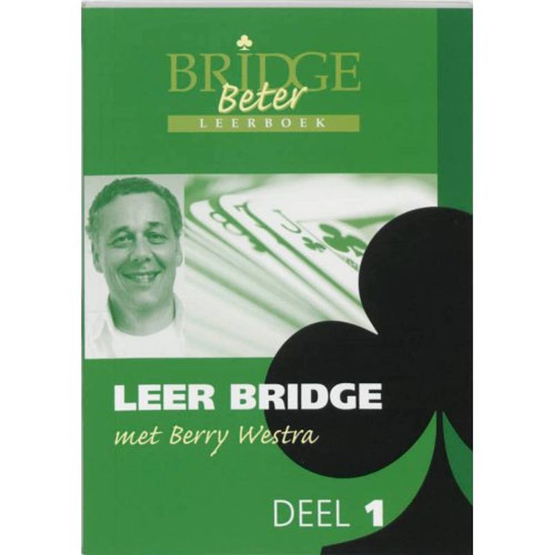 Foto van Leer bridge met berry westra / 1