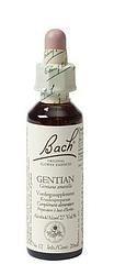 Foto van Bach flower remedies gentiaan 12