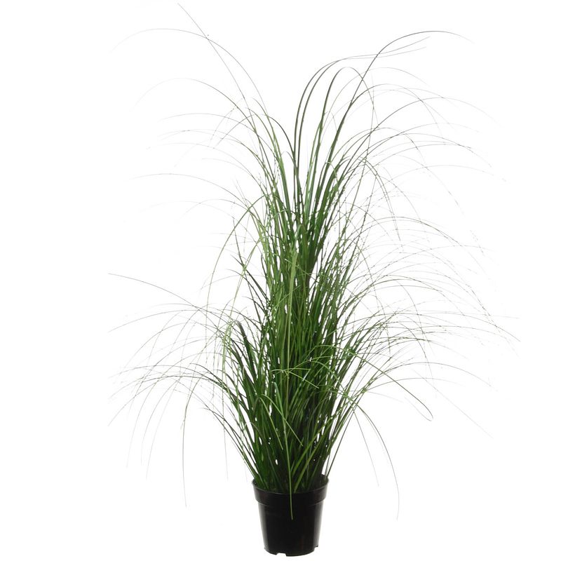 Foto van Louis maes quality kunstplant - siergras bush - donkergroen - h110 cm - in pot - kunstplanten