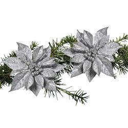 Foto van 2x stuks kerstboom bloemen op clip zilveren kerstster 18 cm - kunstbloemen