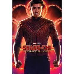 Foto van Pyramid shang-chi and the legend of the ten rings flex poster 61x91,5cm