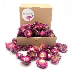 Foto van Packlinq gedroogde strobloemen violet (40 gram)