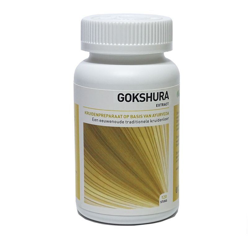 Foto van Ayurveda care gokshura 650mg tabletten 120st