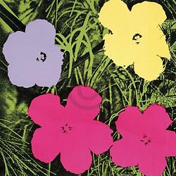 Foto van Andy warhol - flowers c. 1964 kunstdruk 60x60cm