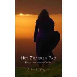 Foto van Het zilveren pad