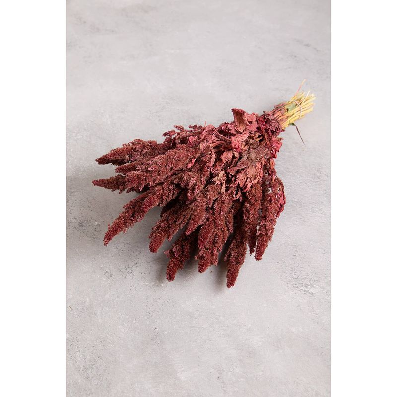 Foto van Couronne bundeltje gedroogde bloemen amaranthus old pink