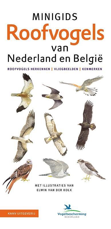 Foto van Set minigids roofvogels van nederland en belgie - jip louwe kooijmans - pakket (9789050117777)
