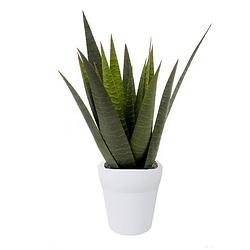 Foto van Kunstplant aloe vera in pot 35 cm - kunstplanten