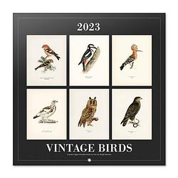 Foto van Vintage birds kalender 2023