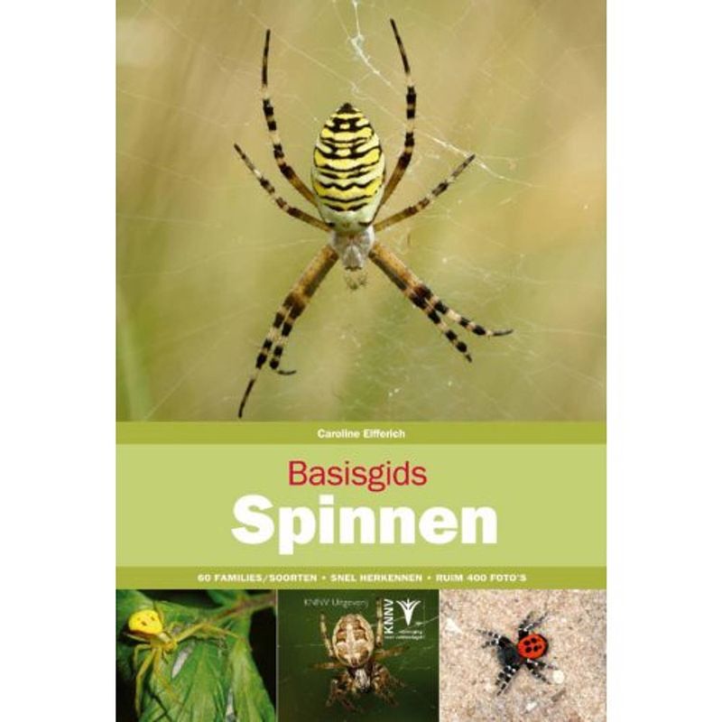 Foto van Basisgids spinnen