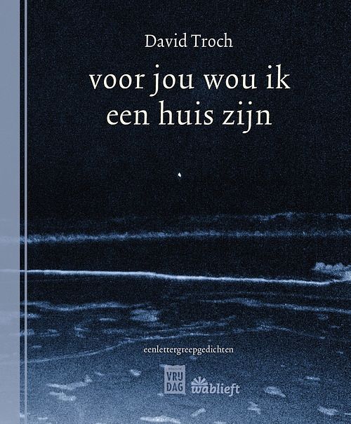 Foto van Voor jou wou ik een huis zijn - david troch - ebook (9789460019517)