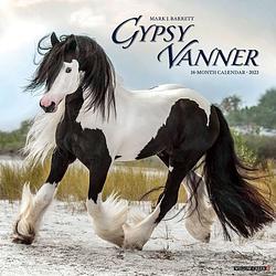 Foto van Gypsy vanner horse kalender 2023