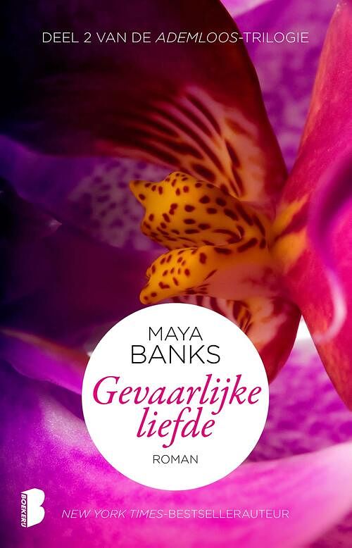 Foto van Ademloos 2 - gevaarlijke liefde - maya banks - ebook (9789460236143)