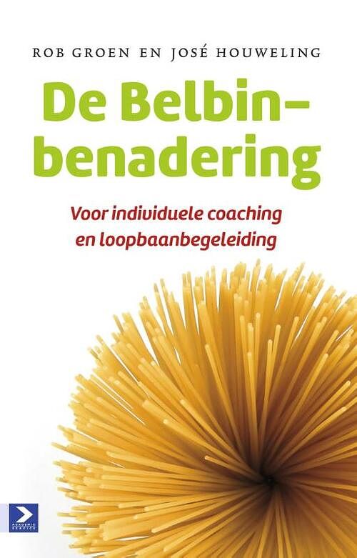 Foto van De belbin-benadering - josé houweling, rob groen - ebook (9789462201545)