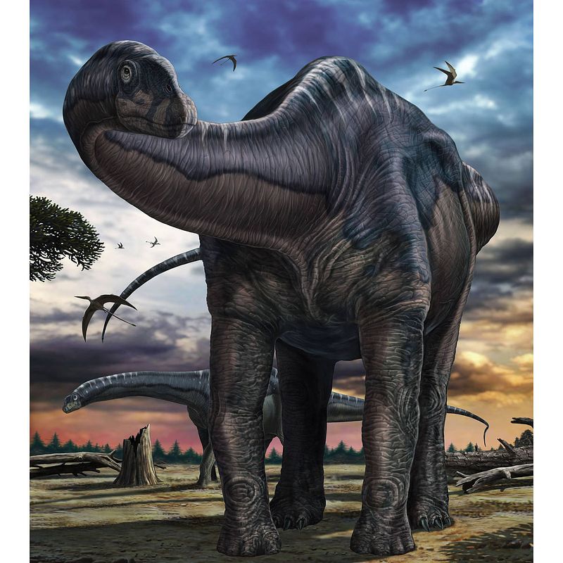 Foto van Komar argentinosaurus vlies fotobehang 250x280cm 5-banen